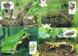 Belgique - WWF : Amphibies Et Reptiles Menacés CM 2896/2899 (année 2000) - Maximumkaarten