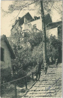 Linkebeek - L'Escalier De L'Eglise. - Linkebeek