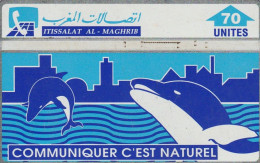 PHONE CARDS MAROCCO (E49.33.3 - Maroc