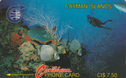 PHONE CARDS CAYMAN ISLANDS (E49.3.4 - Kaimaninseln (Cayman I.)