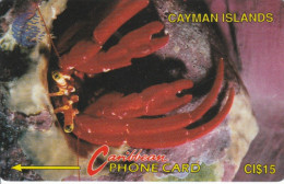 PHONE CARDS CAYMAN ISLANDS (E49.3.7 - Islas Caimán