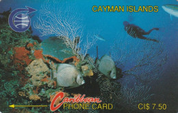 PHONE CARDS CAYMAN ISLANDS (E49.3.3 - Kaimaninseln (Cayman I.)
