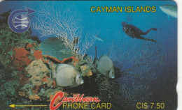 PHONE CARDS CAYMAN ISLANDS (E49.3.2 - Kaimaninseln (Cayman I.)
