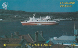 PHONE CARDS FALKLAND (E49.2.4 - Islas Malvinas