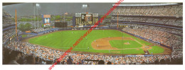 Twilight At Shea By Andy Jurinko - Baseball - 23x8cm - Baseball