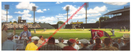 Long Gone Griffith By Bill Purdom - Baseball - 23x9cm - Honkbal