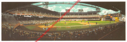 Ebbets Field Classic By Bill Purdom - Baseball - 23x8cm - Honkbal