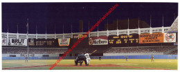 Yankee Stadium Triumph By Bill Purdom - Baseball - 23x9,5cm - Honkbal