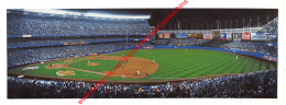 Pinstripes' Classic Comeback By Andy Jurinko - Baseball - 23x8,5cm - Honkbal