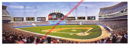 New Comiskey Park By William Feldman - Baseball - 23x8,5cm - Honkbal