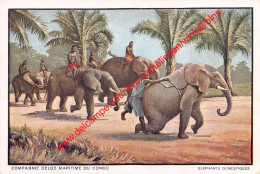 Compagnie Belge Maritime Du Congo - Elephants Domestiques - Congo Belge