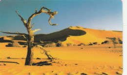 PHONE CARD NAMIBIA (E51.24.8 - Namibie