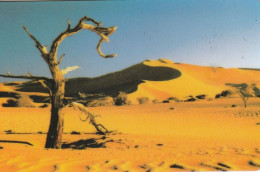 PHONE CARD NAMIBIA (E51.19.1 - Namibie