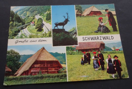 Grüsse Aus Dem Schwarzwald - A. Schreier-Ansichtskarten-Verlag, Langenargen - # 516-7 - Saluti Da.../ Gruss Aus...
