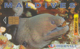 PHONE CARD MALDIVE (E52.6.1 - Maldive