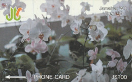 PHONE CARD-NOT PERFECT JAMAICA (E52.3.4 - Giamaica