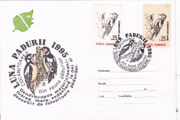 WOODPECKER, SPECIAL  PMK ON COVERS WITH STAMPS 1992 , RARE DIFF STAMPS PAPER! ROMANIA, - Spechten En Klimvogels