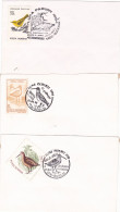 BIRDS, 1994-98 PMK ON 3 COVERS OBLITERATION CONCORDANTE ,ROMANIA, - Aves Gruiformes (Grullas)