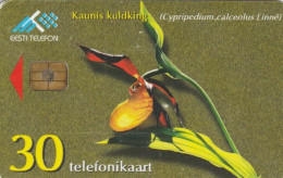PHONE CARD- ESTONIA (E56.41.3 - Estland