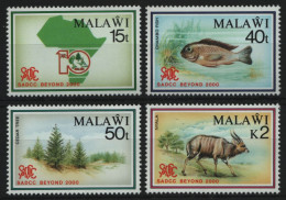 Malawi 1990 - Mi-Nr. 553-556 ** - MNH - Wildtiere / Wild Animals - Malawi (1964-...)