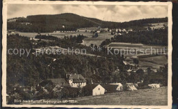 42268032 Vogelsgruen Panorama Auerbach - Auerbach (Vogtland)