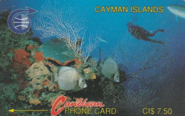 PHONE CARD CAYMAN (E58.7.5 - Kaimaninseln (Cayman I.)