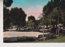 SENIGALLIA   ANCONA  GIARDINI CATALANI  VG 1956 - Senigallia