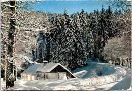 29-12-2023 (3 W 11) France - Les Vosges Sous La Neige (sapin) - Arbres