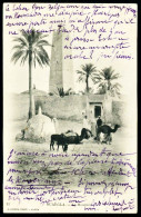 A65  ALGERIE CPA  OUARGLA - LA MOSQUE - Collezioni E Lotti