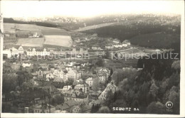 42248776 Sebnitz Panorama Sebnitz - Sebnitz