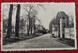 OHAIN  -  Le Porche  Du Vieux Manoir - Lasne