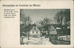 42247573 Trieb Falkenstein Vogtland Gansmuehle Im Triebtale Winteridyll Trieb Fa - Falkenstein (Vogtland)