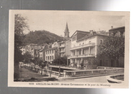 CPA - 66 - Amélie-les-Bains - Avenue Carcassonne Et Le Pont Du Mondony - 1943 - Amélie-les-Bains-Palalda