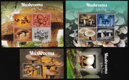 Micronesia 2013 Mushrooms - Micronésie