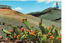 CPSM Lanzarote-Restaurante En La Montaña De Fuego     L2476 - Lanzarote