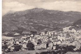 Cartolina Orgosolo ( Nuoro ) Panorama Parziale - Nuoro