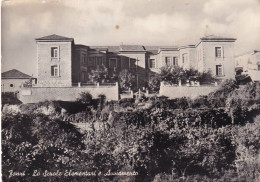 Cartolina Fonni ( Nuoro ) Le Scuole Elementari E Avviamento - Nuoro