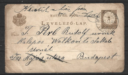 HONGRIE. Carte Pré-timbrée Ayant Circulé En 1895. - Interi Postali