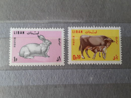 1965	Lebanon	Cow (F76) - Lebanon