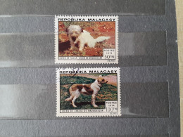 1974	Malagasy	Dogs (F76) - Malaysia (1964-...)
