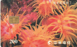 PHONE CARD TAIWAN (E65.6.2 - Taiwán (Formosa)