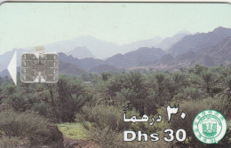 PHONE CARD EMIRATI ARABI (E66.3.1 - Emirati Arabi Uniti