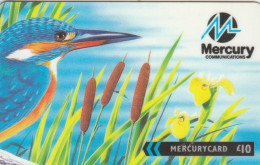 PHONE CARD REGNO UNITO MERCURY (E66.7.1 - Mercury Communications & Paytelco