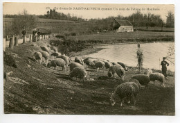 89  Petit Gardien De Moutons Environs De ST SAINT SAUVEUR Coin Etang De MOUTIERS   1916 Timb   D19 2022 - Saint Sauveur En Puisaye