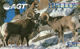 CANADA - PREPAID - AGT - HELLO PHONE PASS - ANIMAL - ROCKY MOUNTAIN SHEEP - MINT (WITH MAGNETIC STRIP) - Canada