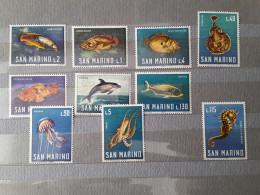 1966	San Marino	Fishes (F76) - Neufs