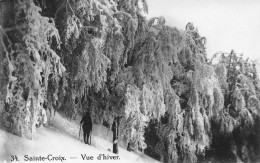 STE. CROIX - VUE D'HIVER ~  A VINTAGE POSTCARD #235926 - Sainte-Croix 