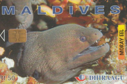 PHONE CARD MALDIVE (E72.23.1 - Maldive