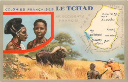 TCHAD ,  LION NOIR , Descriptif Au Dos , * 375 05 - Tchad