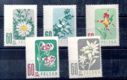 Polonia Serie Nº Yvert 904/08 ** FLORES (FLOWERS) - Neufs